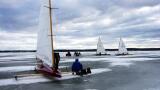 Regata Schweden 256