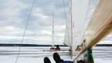 Regata Schweden 258