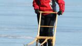 hallona schweden 20110306 0276