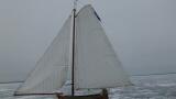 DSCI0111