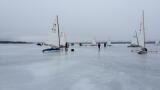 IMG 7452